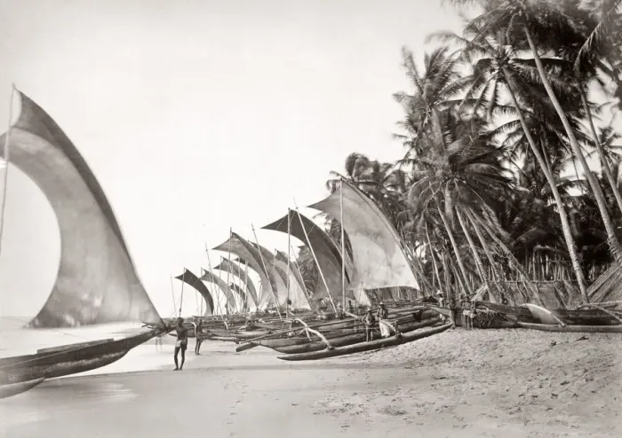Framed Print : Fishing catamarans beach, Ceylon (Sri Lanka), c. 1880 s Framed Print : Fishing catamarans beach, Ceylon (Sri Lanka), c. 1880 s