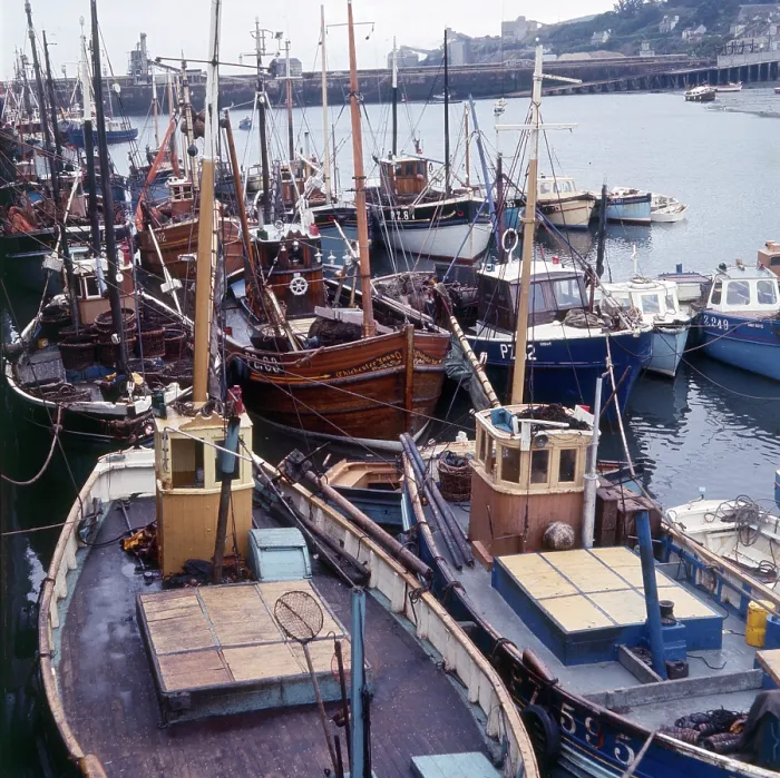 Framed Print : The Fishing fleet moored in Brixham Harbour, Devon Framed Print : The Fishing fleet moored in Brixham Harbour, Devon