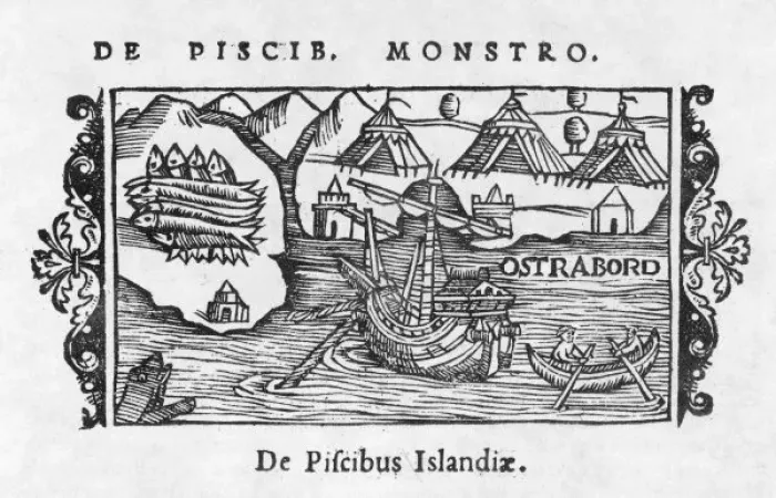 Framed Print : Fishing / Iceland / 1555 Framed Print : Fishing / Iceland / 1555