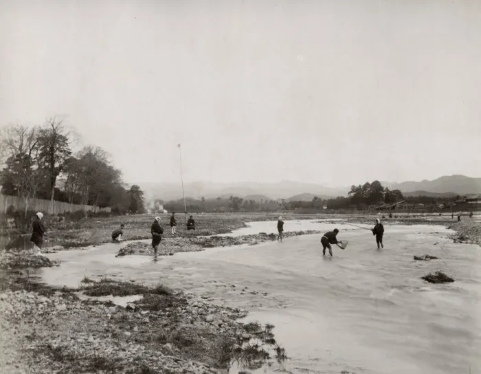 Framed Print : Fishing in the Kamogawa river, Kyoto, Japan Framed Print : Fishing in the Kamogawa river, Kyoto, Japan