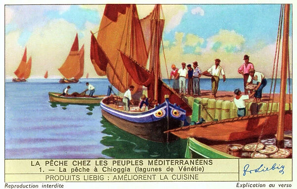 Fishing Near Venice