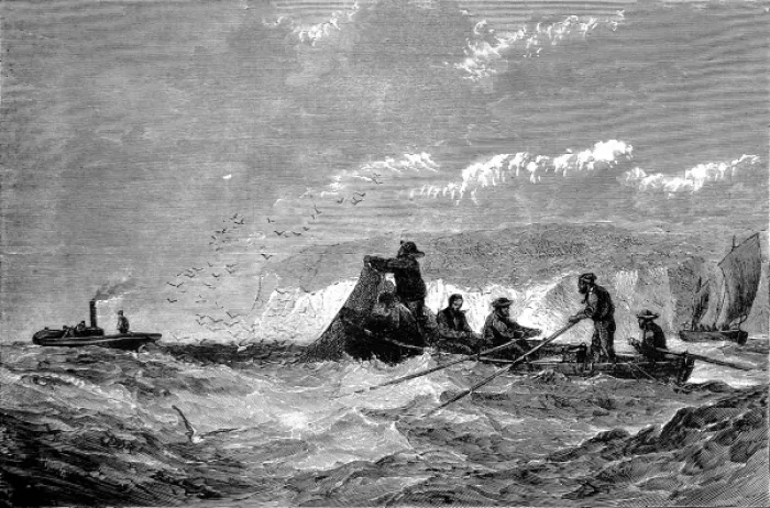 Framed Print : Fishing for Pilchards, 1871 Framed Print : Fishing for Pilchards, 1871