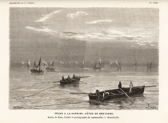 Framed Print : Fishing for sardine off the Atlantic coast of Brittany Framed Print : Fishing for sardine off the Atlantic coast of Brittany