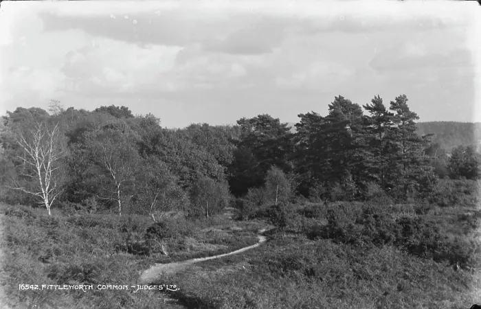 Framed Print : Fittleworth Common