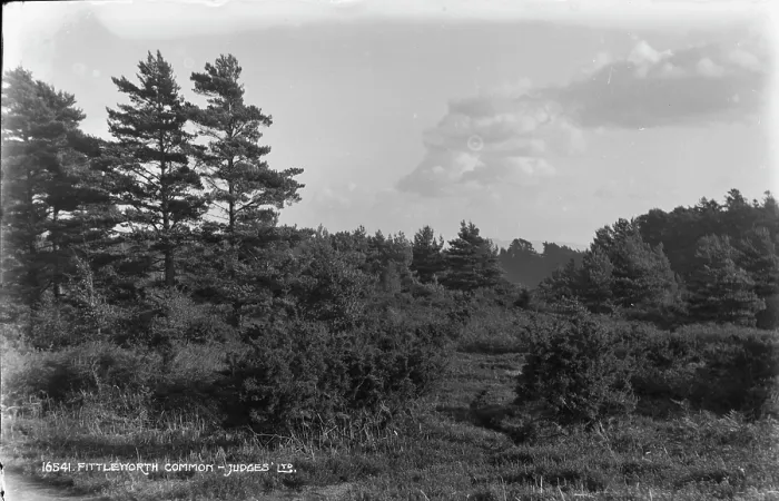 Framed Print : Fittleworth Common Landscape Framed Print : Fittleworth Common Landscape