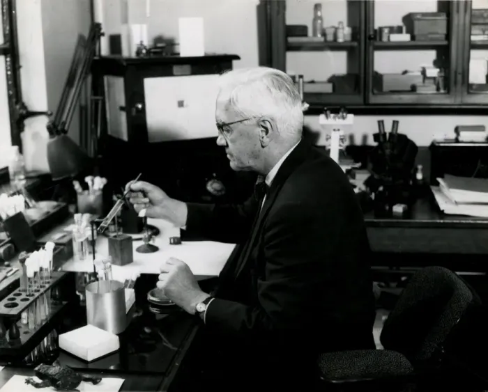 Framed Print : Fleming in his Lab 1952 Framed Print : Fleming in his Lab 1952