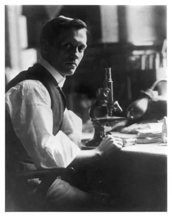 Framed Print : Fleming / Photo / Microscope Framed Print : Fleming / Photo / Microscope