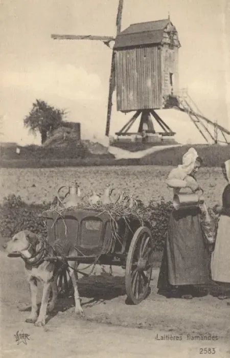 Framed Print : Flemish Milk cart - Belgium Framed Print : Flemish Milk cart - Belgium