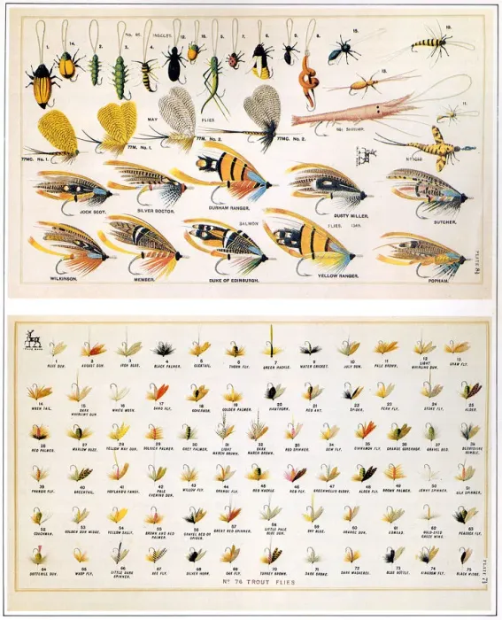 Framed Print : Flies Date: 1887 Framed Print : Flies Date: 1887