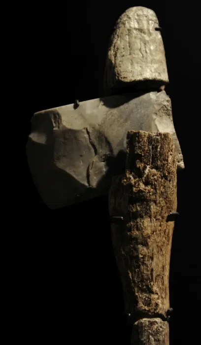 Framed Print : Flint axe. 3600-3400 BC. Western Zealand, Denmark Framed Print : Flint axe. 3600-3400 BC. Western Zealand, Denmark