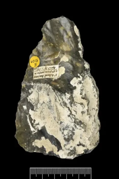 Framed Print : Flint hand axe Framed Print : Flint hand axe