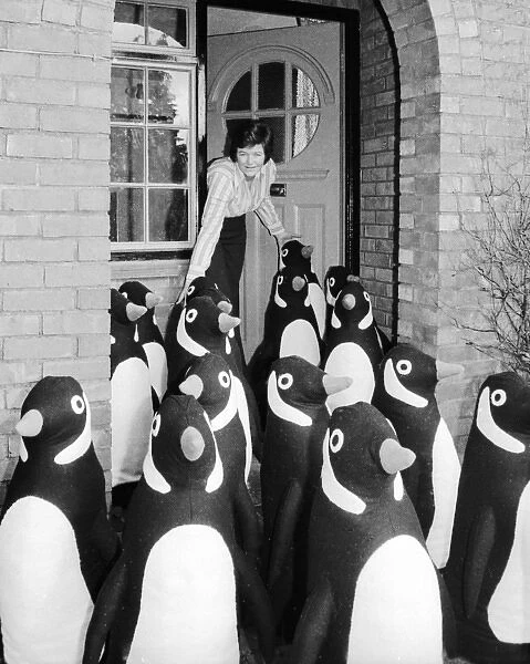 Flock of model penguins outside a suburban house