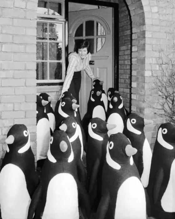 Framed Print : Flock of model penguins outside a suburban house Framed Print : Flock of model penguins outside a suburban house