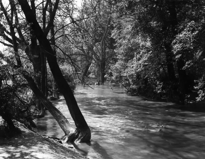 Framed Print : Flooded stream in Wanstead Park, Essex Framed Print : Flooded stream in Wanstead Park, Essex
