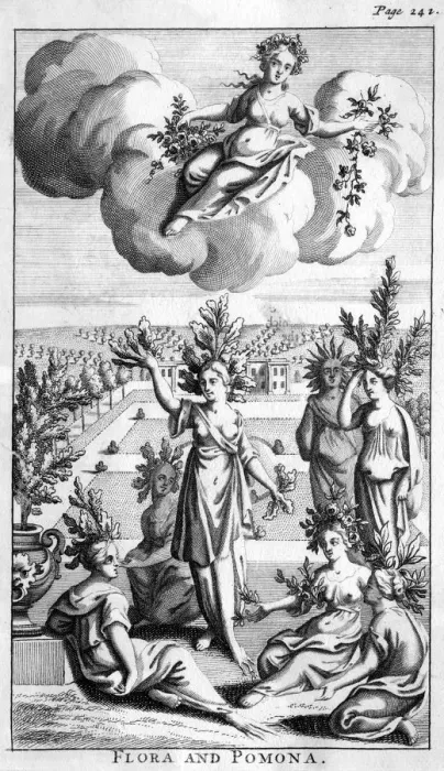 Framed Print : FLORA & POMONA FLORA & POMONA Framed Print : FLORA & POMONA FLORA & POMONA