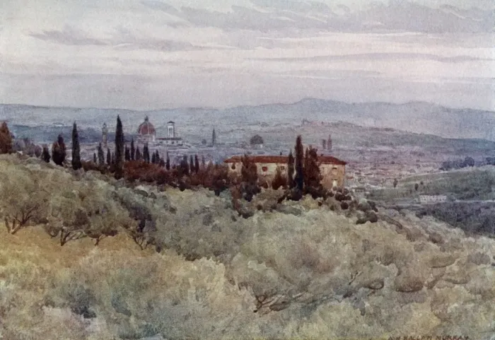 Framed Print : Florence from the olive gardens of San Domenico, Italy Framed Print : Florence from the olive gardens of San Domenico, Italy