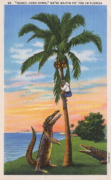 Florida Tourist Postcard - Waiting Alligators
