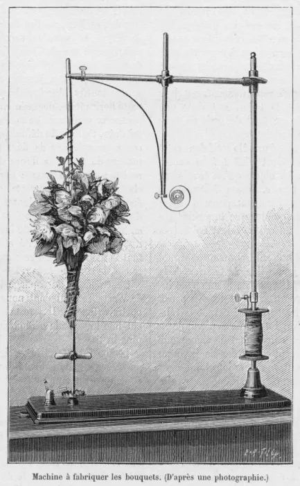 Framed Print : Florists device for fastening bouquets of flowers Framed Print : Florists device for fastening bouquets of flowers