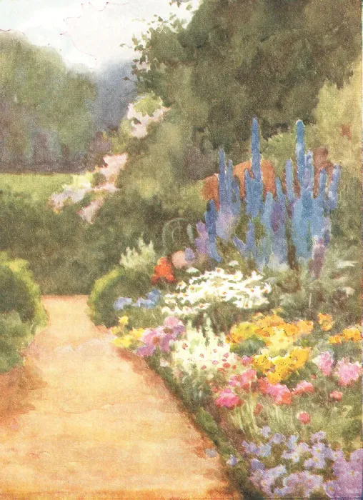 Framed Print : Flower Bed Framed Print : Flower Bed
