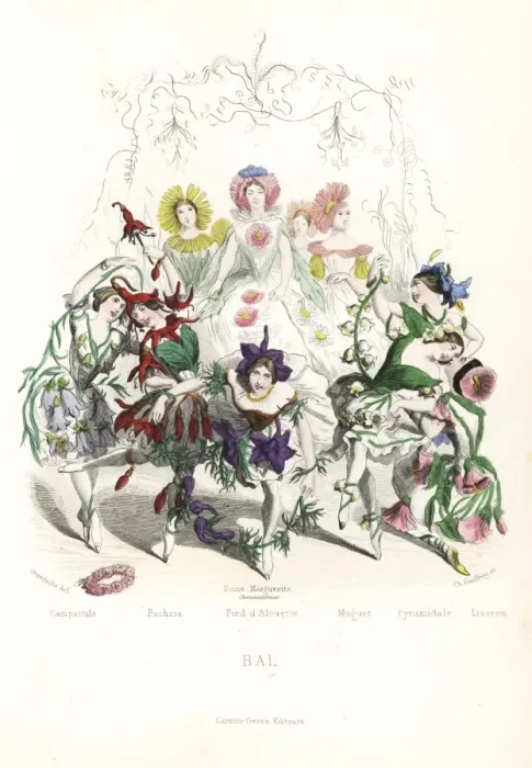 Framed Print : Flower fairy dancers at a ball Framed Print : Flower fairy dancers at a ball