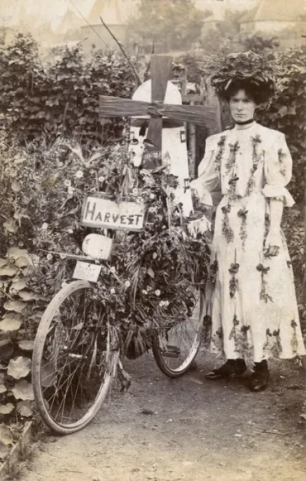 Framed Print : Flower Festival Competition Winner - Decorated Bicycle Framed Print : Flower Festival Competition Winner - Decorated Bicycle