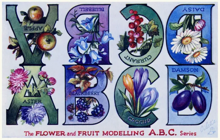 Framed Print : Flower & Fruit ABC Framed Print : Flower & Fruit ABC