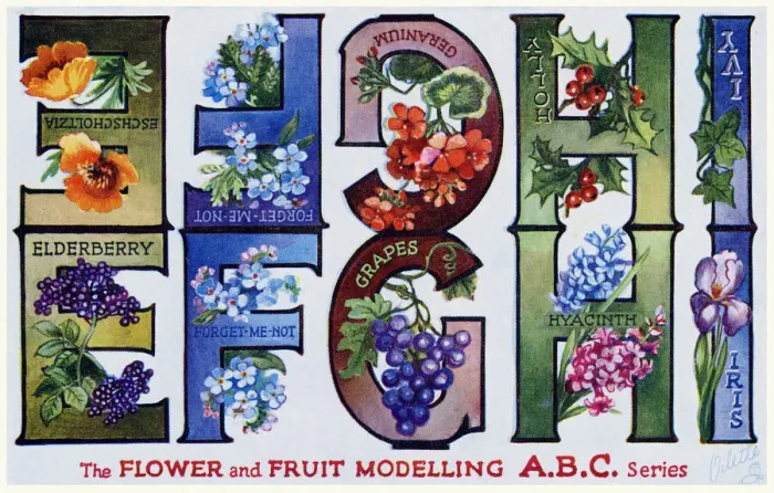 Framed Print : Flower & Fruit ABC Framed Print : Flower & Fruit ABC