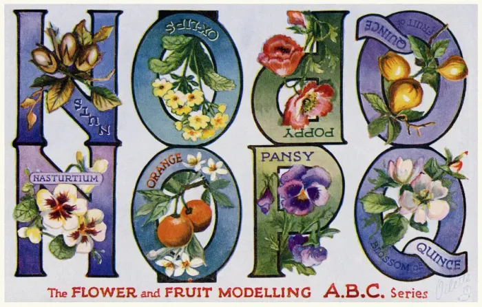 Framed Print : Flower & Fruit ABC Framed Print : Flower & Fruit ABC
