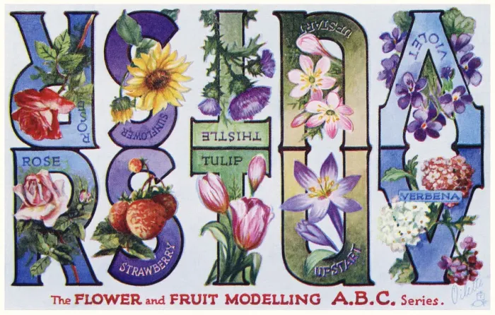 Framed Print : Flower & Fruit ABC Framed Print : Flower & Fruit ABC
