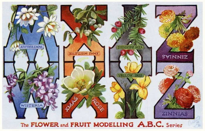 Framed Print : Flower & Fruit ABC Framed Print : Flower & Fruit ABC