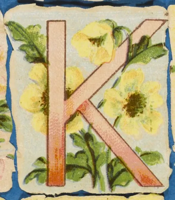 Framed Print : FLOWER K. Flowery K Framed Print : FLOWER K. Flowery K