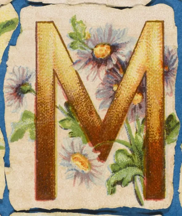 Framed Print : FLOWER M. Flowery M Framed Print : FLOWER M. Flowery M