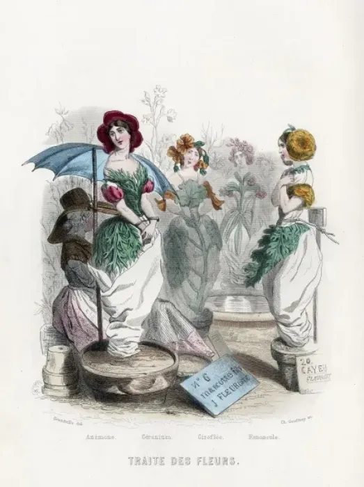 Framed Print : Flower Market Framed Print : Flower Market