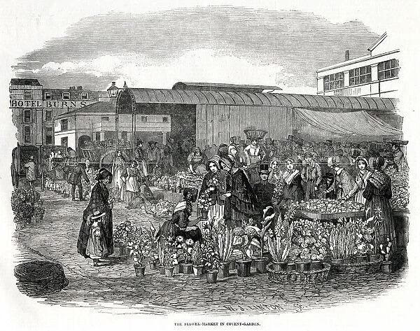 Flower Market in Covent Garden, London 1848