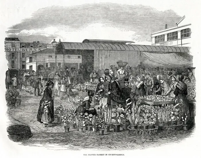 Framed Print : Flower Market in Covent Garden, London 1848
