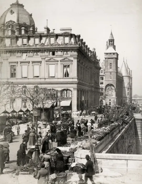 Framed Print : Flower market in Paris along bank of the River Seine Framed Print : Flower market in Paris along bank of the River Seine