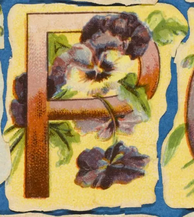 Framed Print : FLOWER P. Flowery P Framed Print : FLOWER P. Flowery P