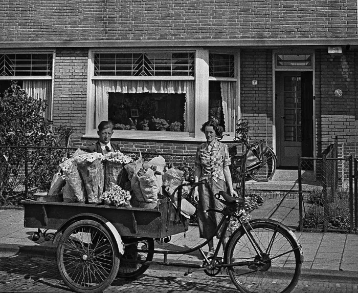 Framed Print : Flower seller in Amsterdam, Netherlands