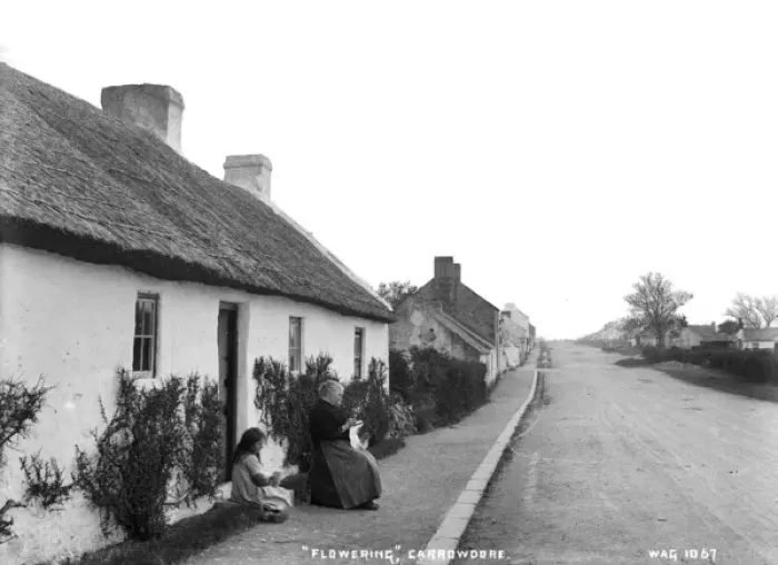 Framed Print : Flowering, Carrowdore Framed Print : Flowering, Carrowdore