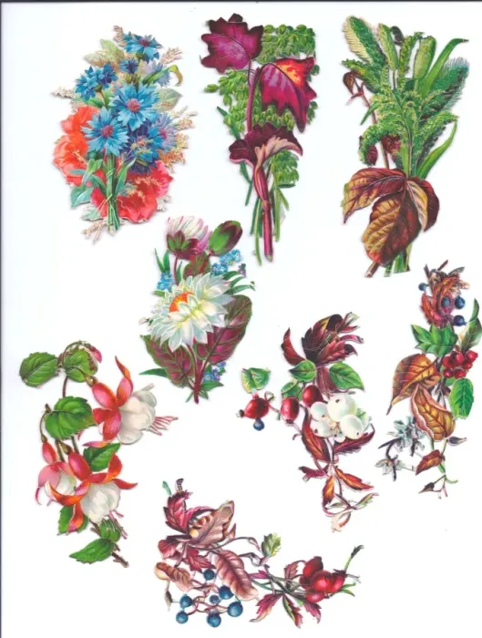 Framed Print : Flowers and foliage on eight Victorian scraps Framed Print : Flowers and foliage on eight Victorian scraps