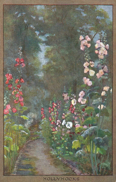 Flowers & Gardens