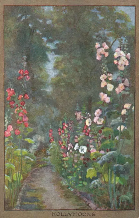 Framed Print : Flowers & Gardens Framed Print : Flowers & Gardens