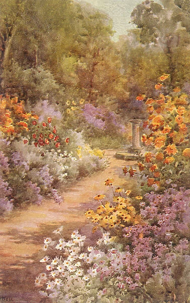 Flowers and Path