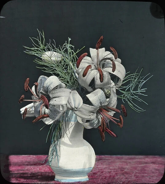 Flowers - Turks Cap Lily