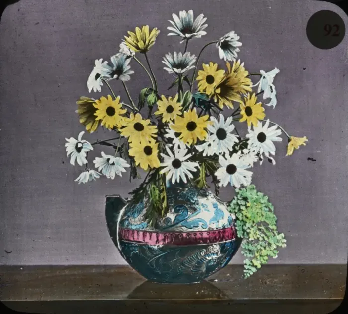 Framed Print : Flowers - Yellow and white daisies Framed Print : Flowers - Yellow and white daisies