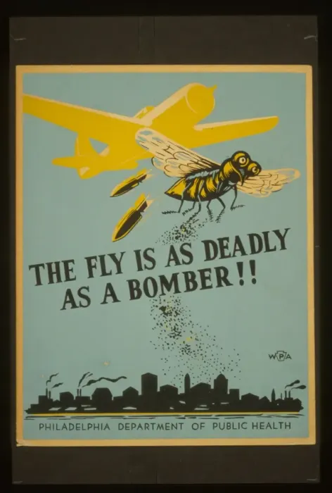 Framed Print : The fly is as deadly as a bomber Framed Print : The fly is as deadly as a bomber