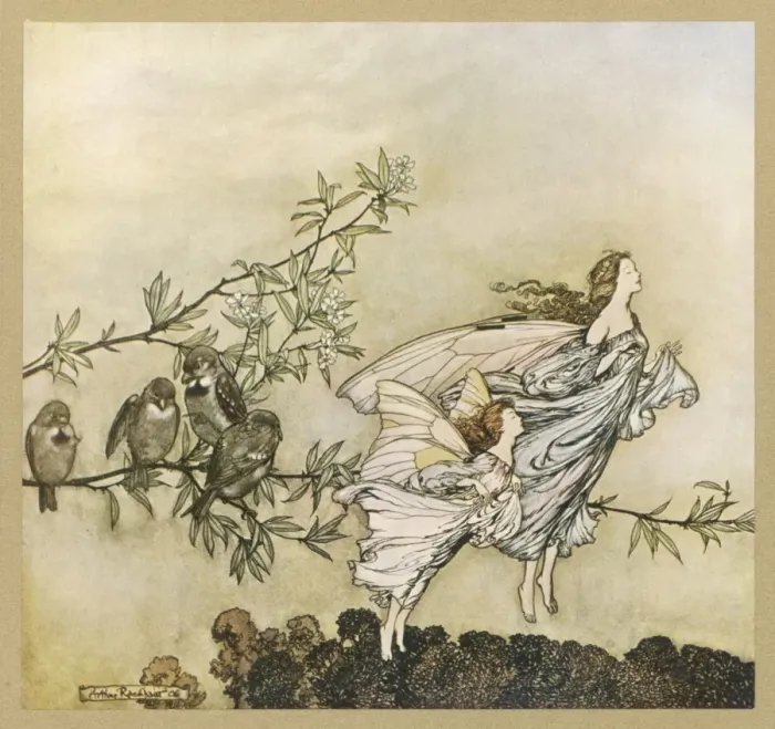 Framed Print : TWO FLYING Framed Print : TWO FLYING