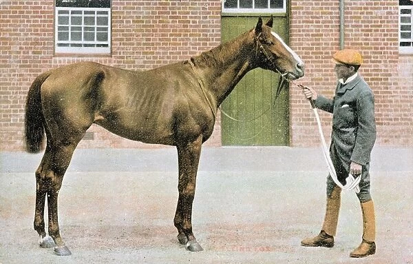 Flying Fox, champion racehorse, with groom