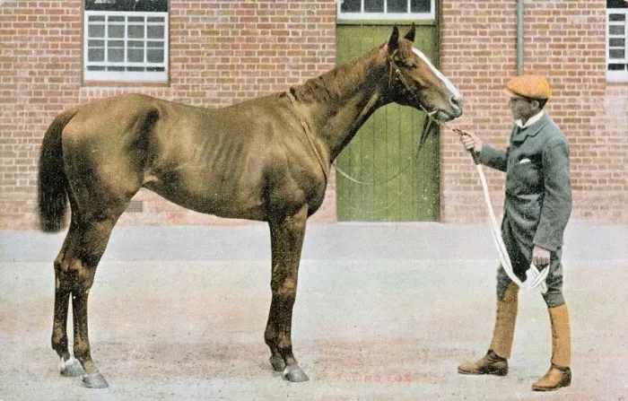 Framed Print : Flying Fox, champion racehorse, with groom Framed Print : Flying Fox, champion racehorse, with groom