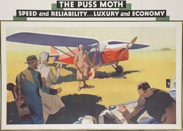 Flying Poster The Puss Moth